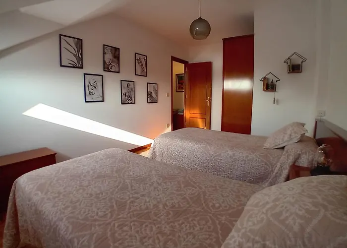 Duplex Saja